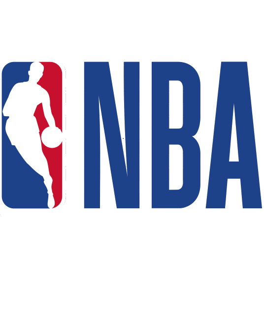 NBA 尼克斯vs公牛20250105